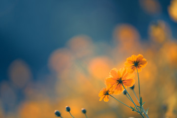 最新一款“手机斗地主透视软件”开挂(透视)辅助教程!