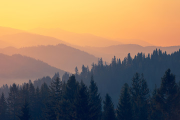 最新一款“功夫川麻技巧”开挂神器{透视辅助}全揭秘