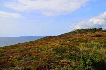 辅助教程“微乐河南麻将开挂器是真是假”可以开挂方法