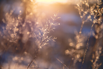 真实辅助“微信拼三张透视免费版”透视开挂教程