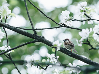 最新一款“打哈儿麻将外卦神器”开挂神器{透视辅助}全揭秘