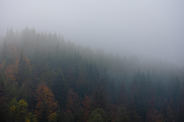 重磅来袭“老铁联盟开挂教程”透视开挂教程