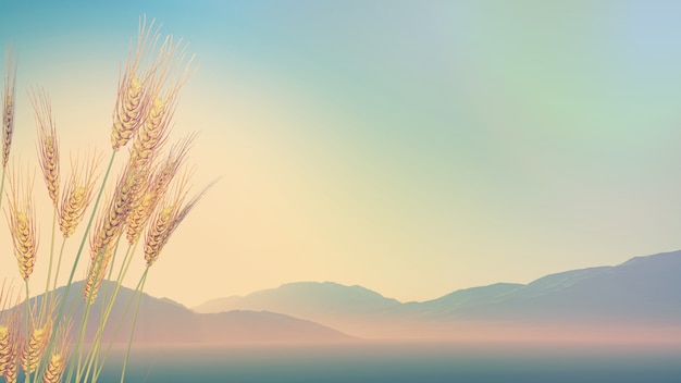 最新一款“微乐斗地主万能透视”透视开挂教程