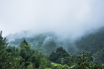 今日必看教程“手机拼三张有挂吗”附开挂脚本详细